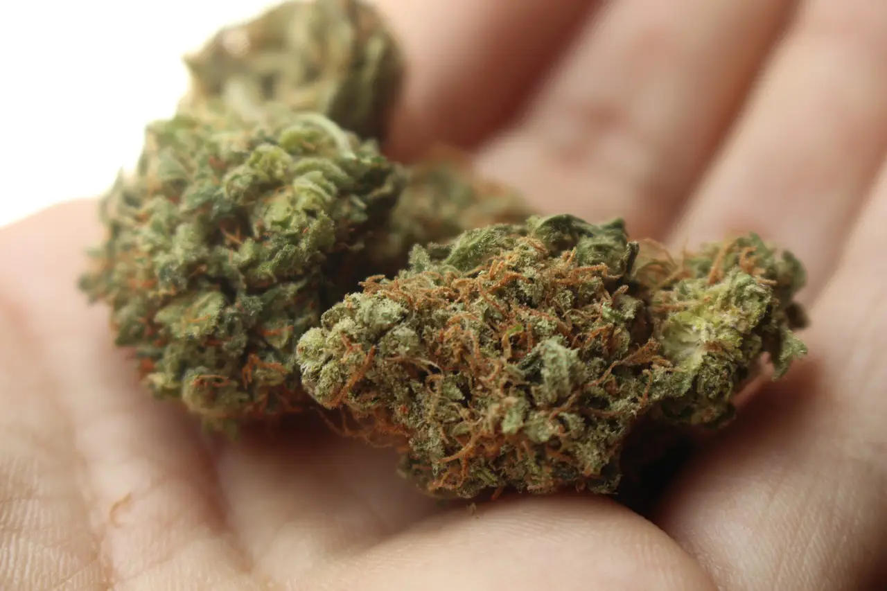 Legalisation de l'usage récréatif du cannabis